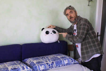 Geloso di un Panda?