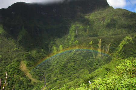 Arcobaleno nella giungla