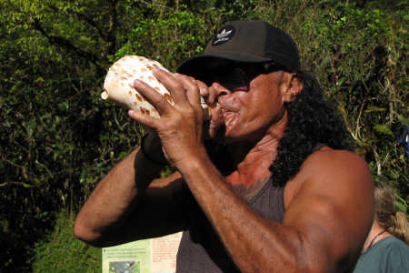 Conchiglia sonora